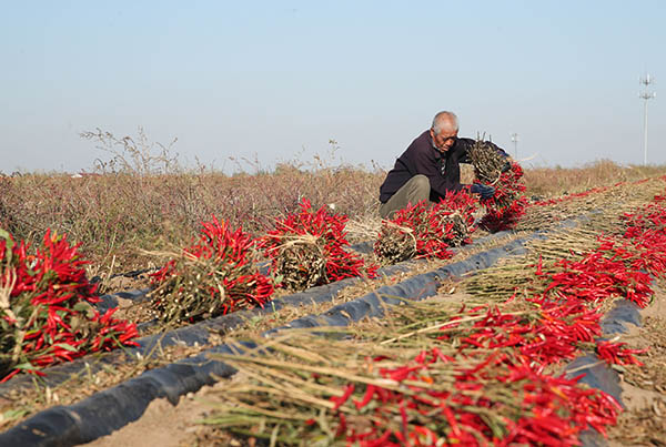 5f6aab081be6c.jpg 5f6aab081be6c.jpg